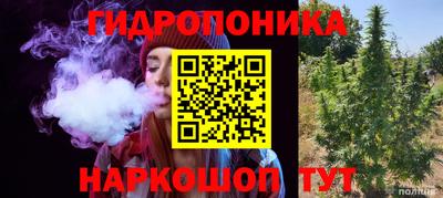 гидропоника Можга
