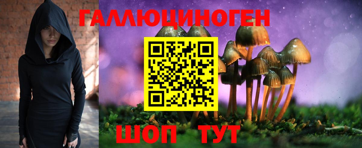 Псилоцибиновые грибы мухоморы  Псилоцибиновые грибы Magic Shrooms  Видное  Вход с VPN 